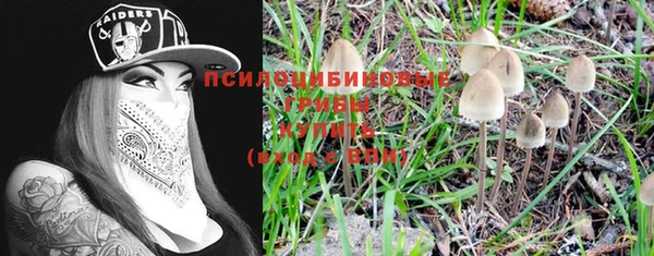 бутират Белокуриха