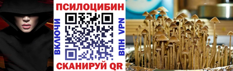 это как зайти  Ворсма  Псилоцибиновые грибы GOLDEN TEACHER 